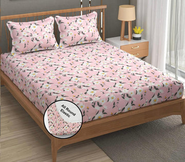 Cotton designer elastic fitted bedsheet with 2 pillow cover